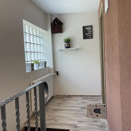 Casa Shiro Guest house *