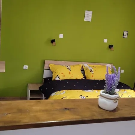 Casa Shiro *