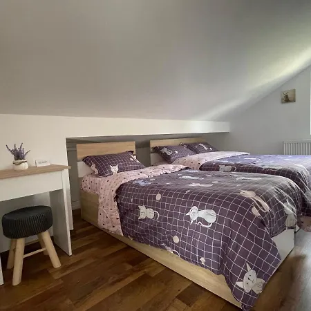 Casa Shiro Guest house Sinaia