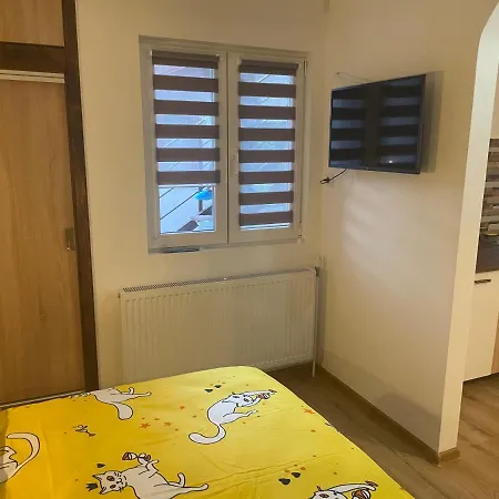 Casa Shiro * Sinaia