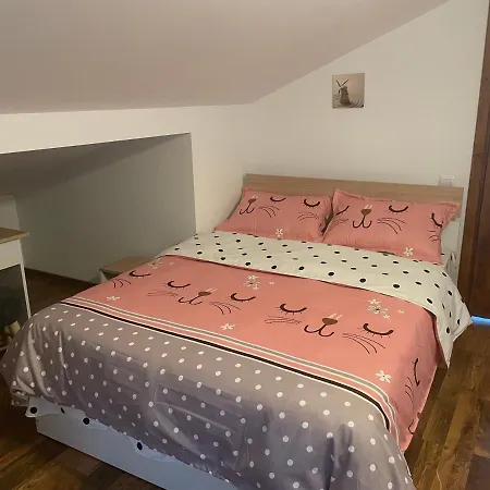 Guest house Casa Shiro Sinaia