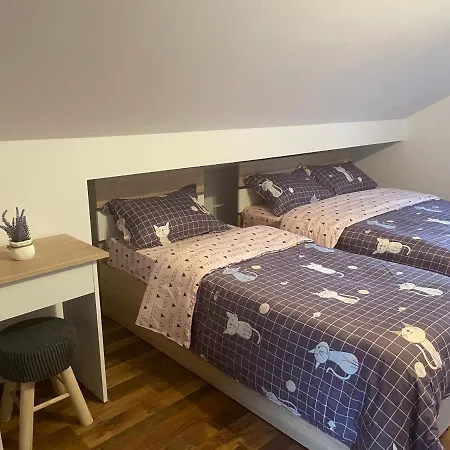 Casa Shiro Guest house